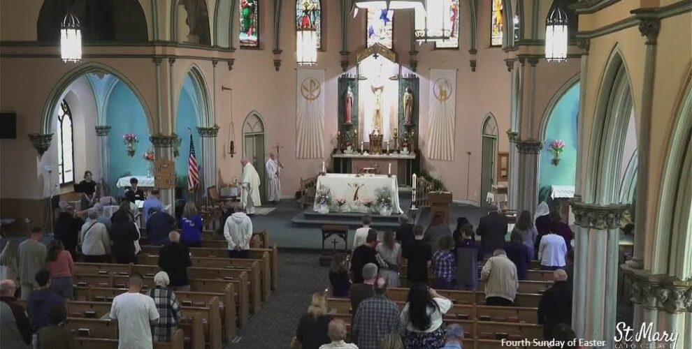 Good Morning!  Today's Mass will be live streamed at 11 on the websites and the link below:...