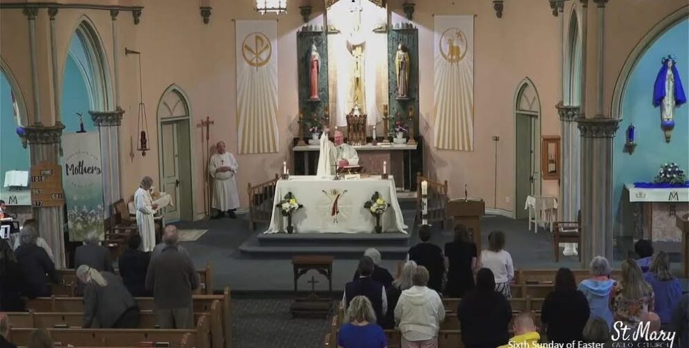 This weekend's Mass is live streamed today at 4 on the websites, and at the link below.  It will be ...