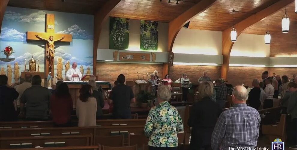 This morning's Mass at 9 will be streamed on all the websites for the churches and the school, and a...