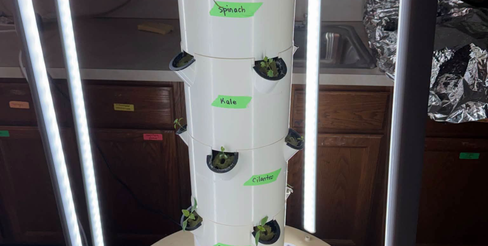 Growing Fresh at School!...